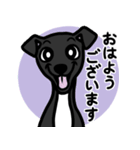 【ブラック4】1年中使える♡パピーイタグレ（個別スタンプ：1）