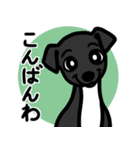 【ブラック4】1年中使える♡パピーイタグレ（個別スタンプ：3）