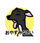 【ブラック4】1年中使える♡パピーイタグレ（個別スタンプ：4）