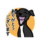 【ブラック4】1年中使える♡パピーイタグレ（個別スタンプ：5）