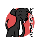 【ブラック4】1年中使える♡パピーイタグレ（個別スタンプ：6）