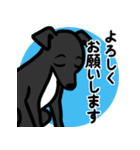 【ブラック4】1年中使える♡パピーイタグレ（個別スタンプ：9）