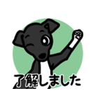 【ブラック4】1年中使える♡パピーイタグレ（個別スタンプ：10）