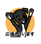 【ブラック4】1年中使える♡パピーイタグレ（個別スタンプ：12）