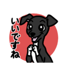 【ブラック4】1年中使える♡パピーイタグレ（個別スタンプ：13）