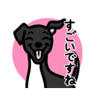 【ブラック4】1年中使える♡パピーイタグレ（個別スタンプ：14）