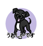 【ブラック4】1年中使える♡パピーイタグレ（個別スタンプ：15）