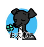 【ブラック4】1年中使える♡パピーイタグレ（個別スタンプ：23）