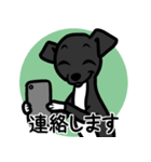 【ブラック4】1年中使える♡パピーイタグレ（個別スタンプ：24）