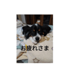 けいたとたろう（個別スタンプ：6）