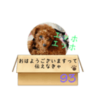エッホエッホ伝えなきゃ93（個別スタンプ：1）