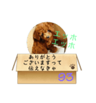 エッホエッホ伝えなきゃ93（個別スタンプ：3）