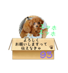 エッホエッホ伝えなきゃ93（個別スタンプ：5）