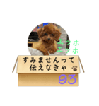 エッホエッホ伝えなきゃ93（個別スタンプ：6）