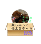 エッホエッホ伝えなきゃ93（個別スタンプ：7）