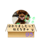 エッホエッホ伝えなきゃ93（個別スタンプ：8）