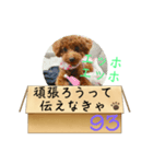 エッホエッホ伝えなきゃ93（個別スタンプ：9）