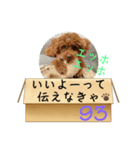 エッホエッホ伝えなきゃ93（個別スタンプ：10）