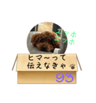 エッホエッホ伝えなきゃ93（個別スタンプ：12）