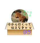エッホエッホ伝えなきゃ93（個別スタンプ：13）