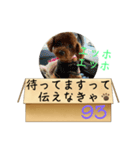 エッホエッホ伝えなきゃ93（個別スタンプ：14）