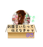 エッホエッホ伝えなきゃ93（個別スタンプ：15）