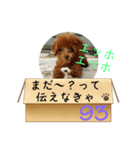 エッホエッホ伝えなきゃ93（個別スタンプ：16）
