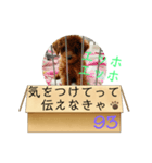 エッホエッホ伝えなきゃ93（個別スタンプ：17）