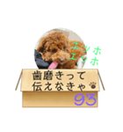 エッホエッホ伝えなきゃ93（個別スタンプ：18）