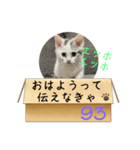 エッホエッホ伝えなきゃ93（個別スタンプ：21）