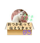 エッホエッホ伝えなきゃ93（個別スタンプ：22）