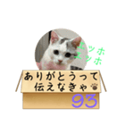 エッホエッホ伝えなきゃ93（個別スタンプ：23）