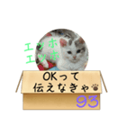エッホエッホ伝えなきゃ93（個別スタンプ：24）