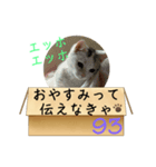 エッホエッホ伝えなきゃ93（個別スタンプ：25）