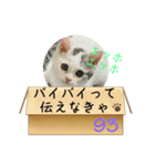 エッホエッホ伝えなきゃ93（個別スタンプ：26）
