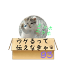 エッホエッホ伝えなきゃ93（個別スタンプ：27）