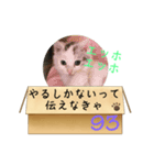 エッホエッホ伝えなきゃ93（個別スタンプ：28）