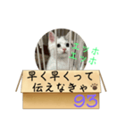 エッホエッホ伝えなきゃ93（個別スタンプ：29）
