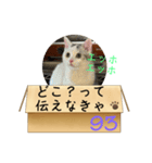エッホエッホ伝えなきゃ93（個別スタンプ：30）
