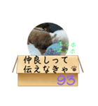 エッホエッホ伝えなきゃ93（個別スタンプ：32）