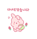 苺うさぎベリッポの日常 (韓国語)（個別スタンプ：9）