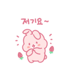 苺うさぎベリッポの日常 (韓国語)（個別スタンプ：15）
