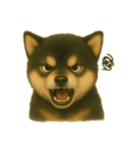 黒柴犬のお気持ち（個別スタンプ：3）