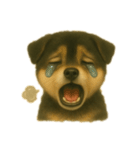 黒柴犬のお気持ち（個別スタンプ：4）