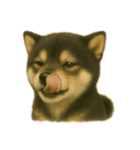 黒柴犬のお気持ち（個別スタンプ：6）