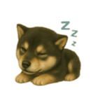 黒柴犬のお気持ち（個別スタンプ：7）