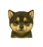 黒柴犬のお気持ち（個別スタンプ：9）