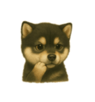 黒柴犬のお気持ち（個別スタンプ：10）