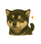 黒柴犬のお気持ち（個別スタンプ：11）