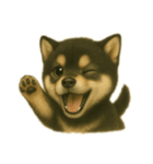 黒柴犬のお気持ち（個別スタンプ：12）